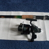 carp rod and reel