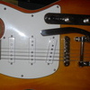 HUTCHINS VIBROVOX