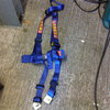 MOMO 3 POINT HARNESS