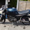 !!! YAMAHA STREETFIGHTER !!!