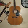 Acoustic Guitar