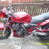 1200bandit