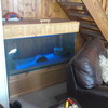 4FT X 2FT FISH TANK IN WOODEN SURROUNDING