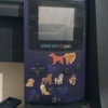 gameboy color working with 1 game shrek