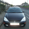 y reg focus automatic  ghia