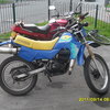 Suzuki TS 50cc
