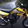 110 pit bike and 50cc rev an go