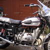 Ural cossack 650 soviet knight