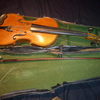 violin