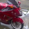 honda cbr1100 blackbird