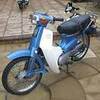 ** WANTED ** Honda C90 Cub90 " CASH WAITING!! "