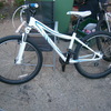 specialized myka