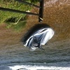 Yamaha waverunner fx140 2002