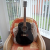 stagg 12 string guitar
