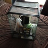 Exo terra reptile/ amphibian viv/ terrainium tank!