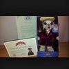 Brand new Compare the Meerkat toy