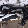 Piaggio nrg dd power 50 58plate not gilera sr aerox