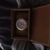 Michael kors (stainless steel, pearl)