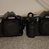 Canon 10d body x2