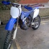 yzf 450   05 animal