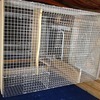 Ferret/chinchila cage