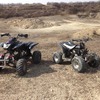 Quadzilla pro shark 100 and 200cc quad