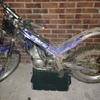 Trials bike gas gas txt 280