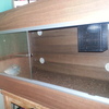 3Ft Vivarium Full Setup Snake/Lizard
