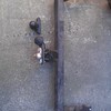 MK4 vauxhall astra tow bar with electrics