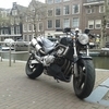 hornet 600