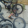 bikes job lot