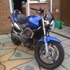 Hornet 600
