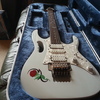 Ibanez Jem 555 Guitar