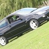 ford focus collection