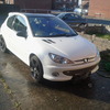 peugeot 206 gti 180