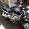 Hornet 600