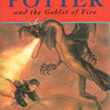Harry Potter and the Goblet of Fire First Edition, Hardcover.