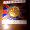 enamale badge