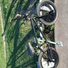 United bmx.. Custom!!!