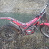 gas gas 250