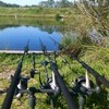 Carp rods MINT HAVE A LOOK £600