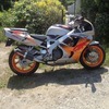 Honda Fireblade Urban Tiger
