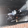 cbr 600