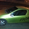 tigra