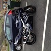 Honda cbr600f2 03plate