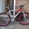 mountain bike stolen