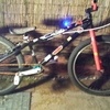 custom pirahna 24  jump bike 100 Ono