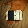 Blackberry bold