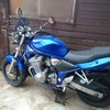 suzuki bandit