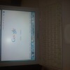 ibook G4